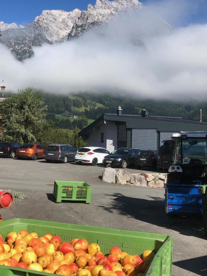 ليوغانغ Stockis Mountaindestillerie - Appartements المظهر الخارجي الصورة
